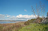 Vendicari nature reserve